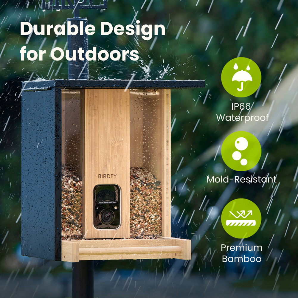 Birdfy Bamboo Smart Solar Roof Bird Feeder with 1080p AI Camera Image 5