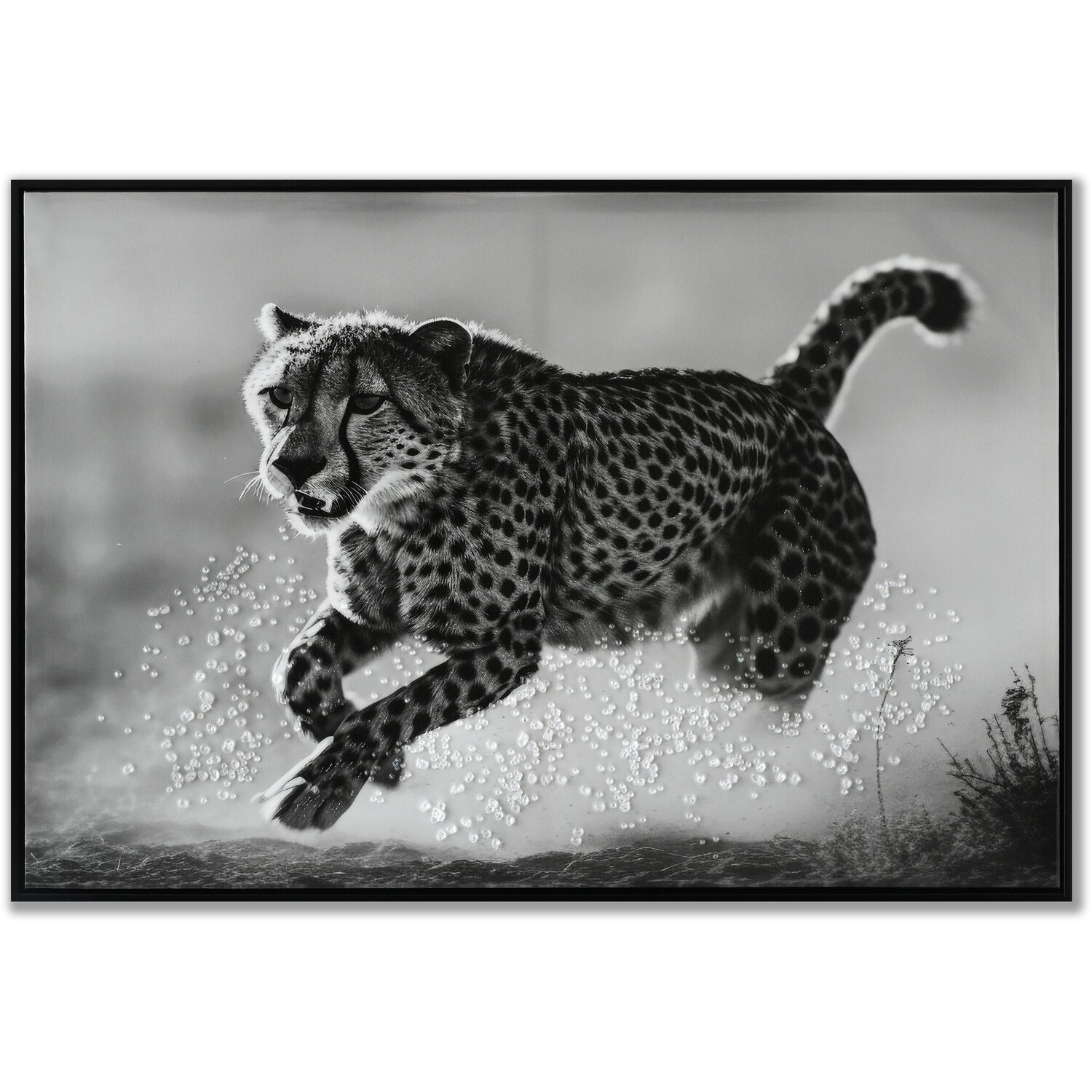 Monochrome Cheetah Framed Print - Black Image 1