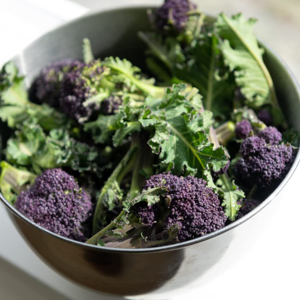 Thompson & Morgan Sprouting Broccoli Continuity Collection Postiplugs 18 Pack Image 4
