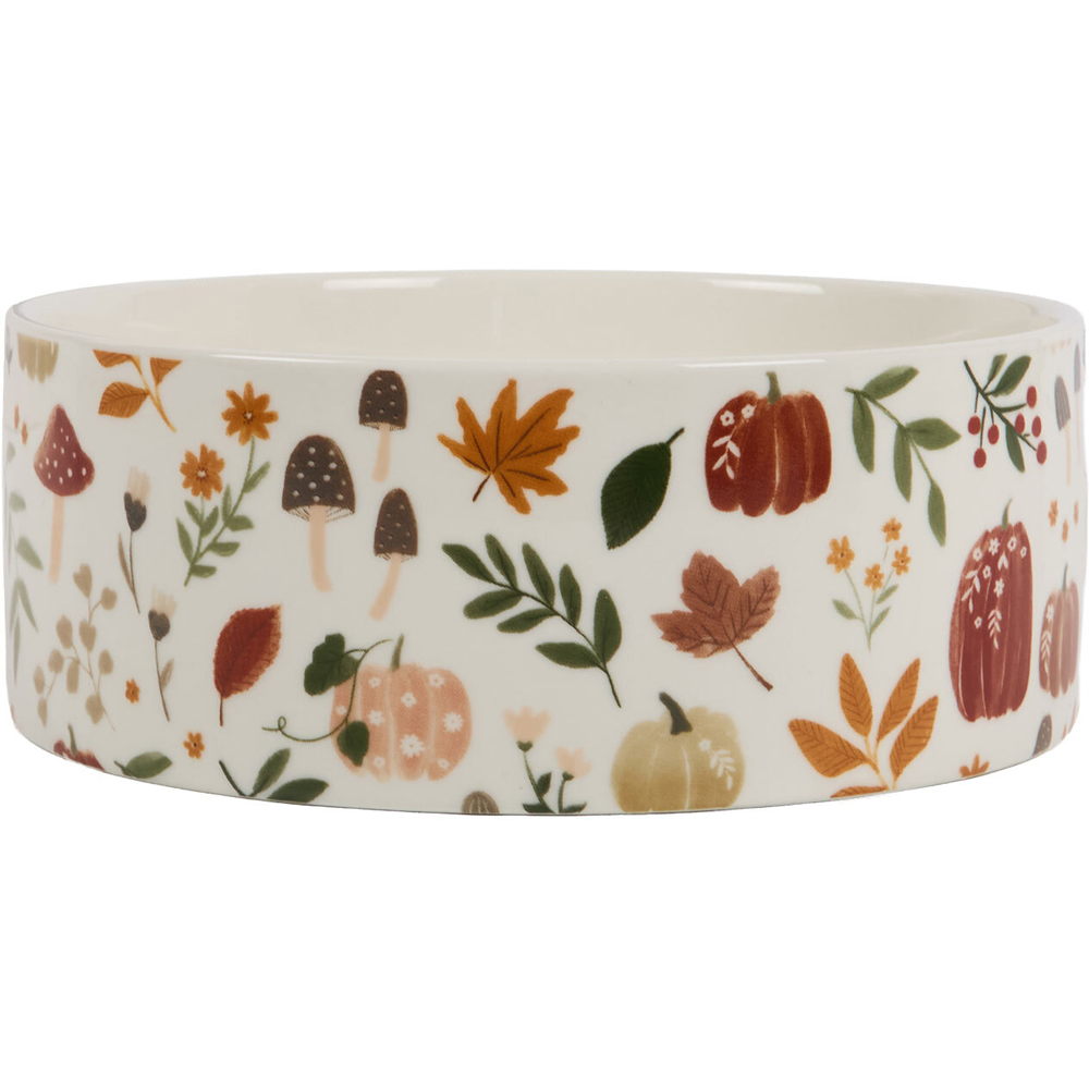 Pumpkin Patch Design Pet Bowl Image 4