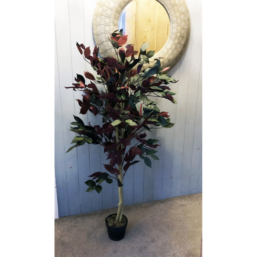 Botanik Capensia Ficus Artificial Tree in Pot 4ft Image 7