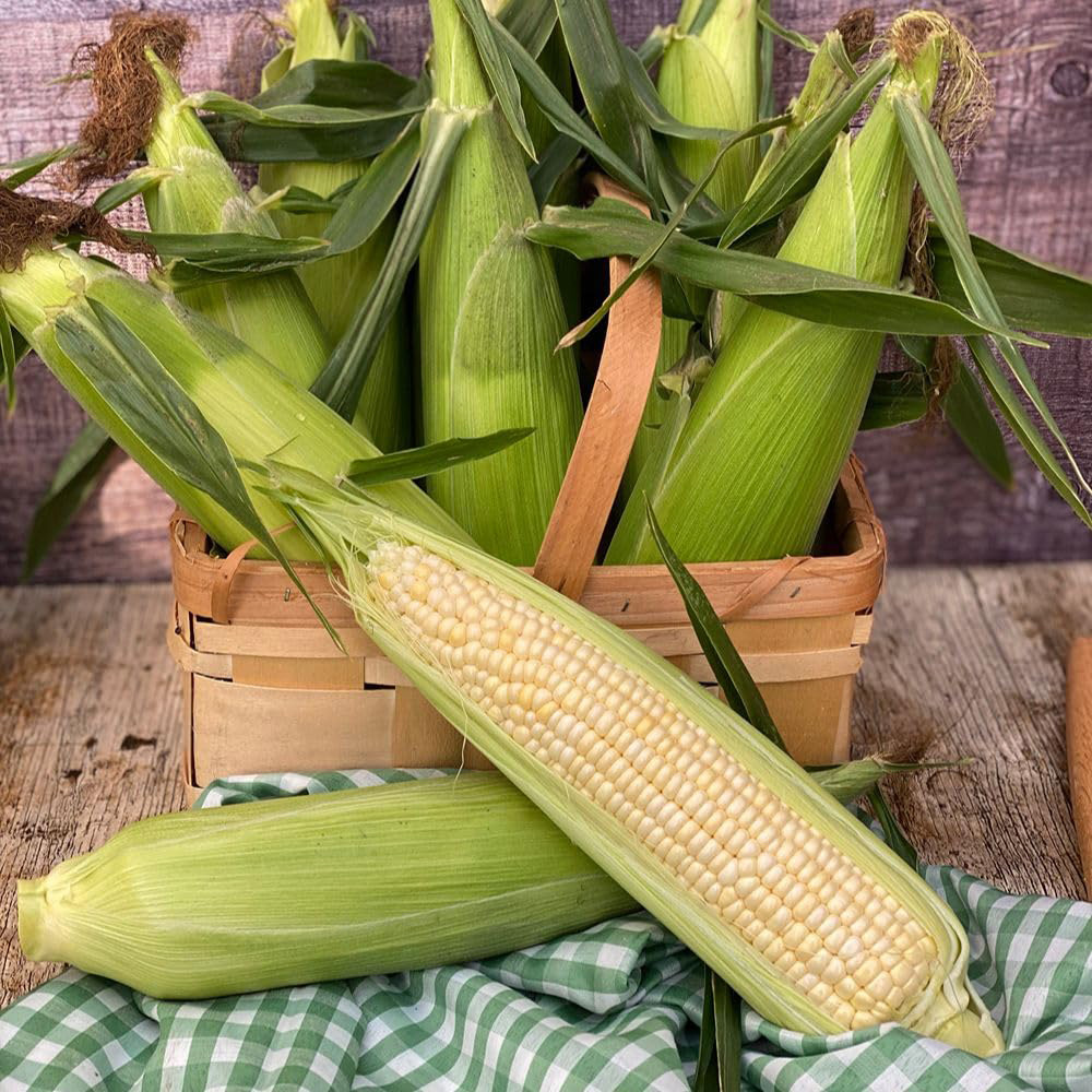 Thompson and Morgan Sweetcorn Eden F1 Seed Packet Image