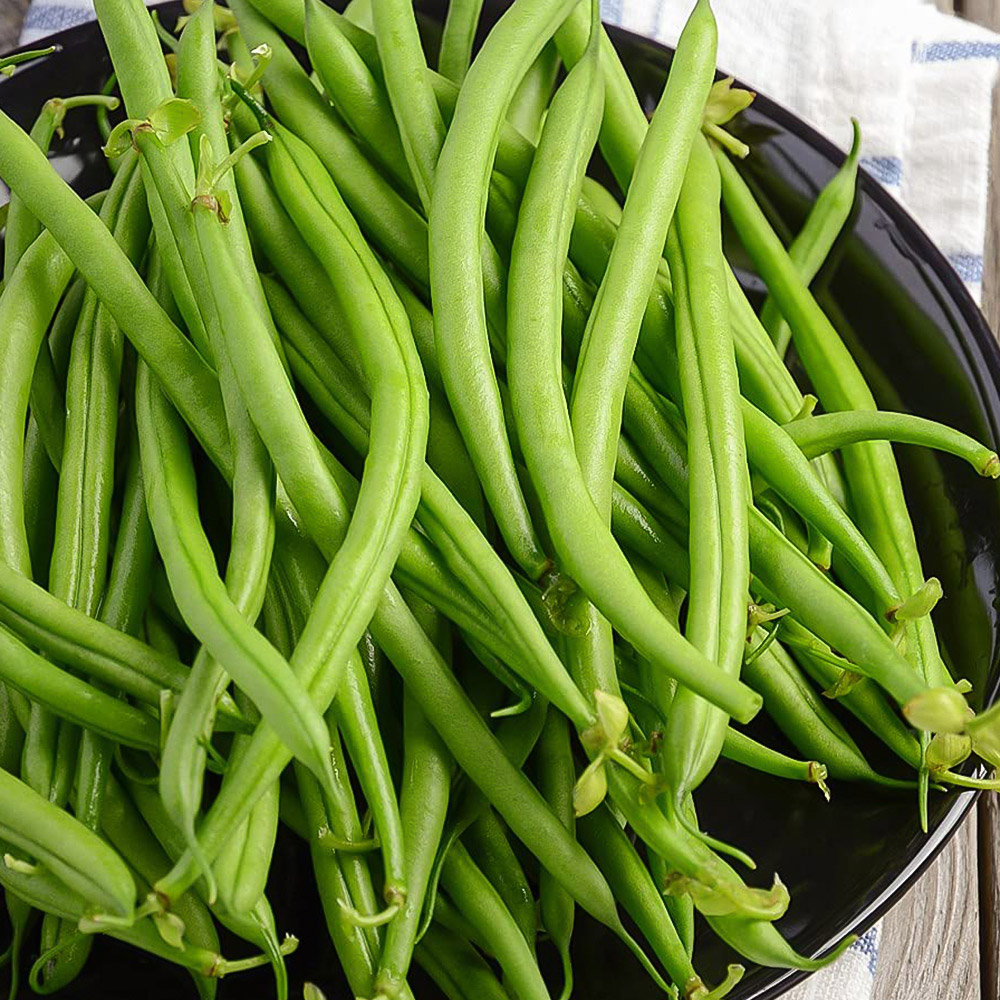 Thompson and Morgan Bean French Dwarf Safari Multi Sown Garden Ready Plant 15 Pack Image 1