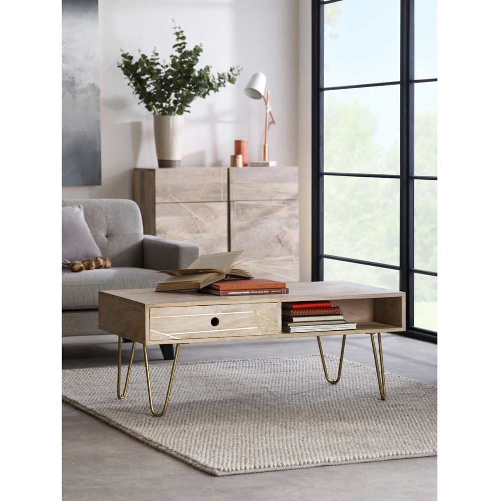 Brooklyn Huyen Single Drawer Single Shelf Light Gold Coffee Table Image 6