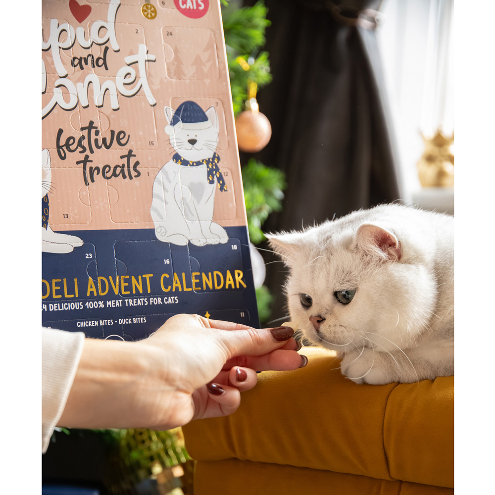 Luxury Deli Advent Calendar for Cats Image 6
