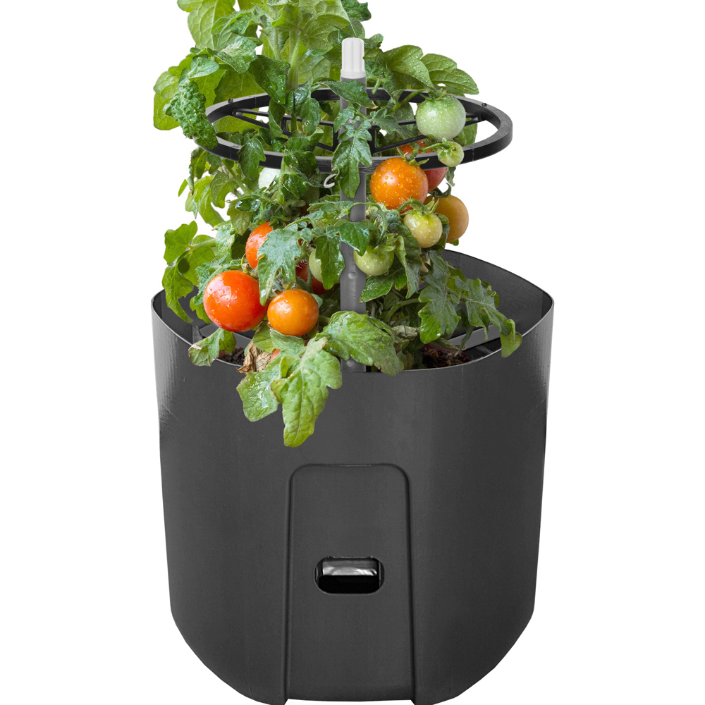 Gardenico Black Self Watering Tomato Planter with Extendable Trellis 29cm 2 Pack Image 3