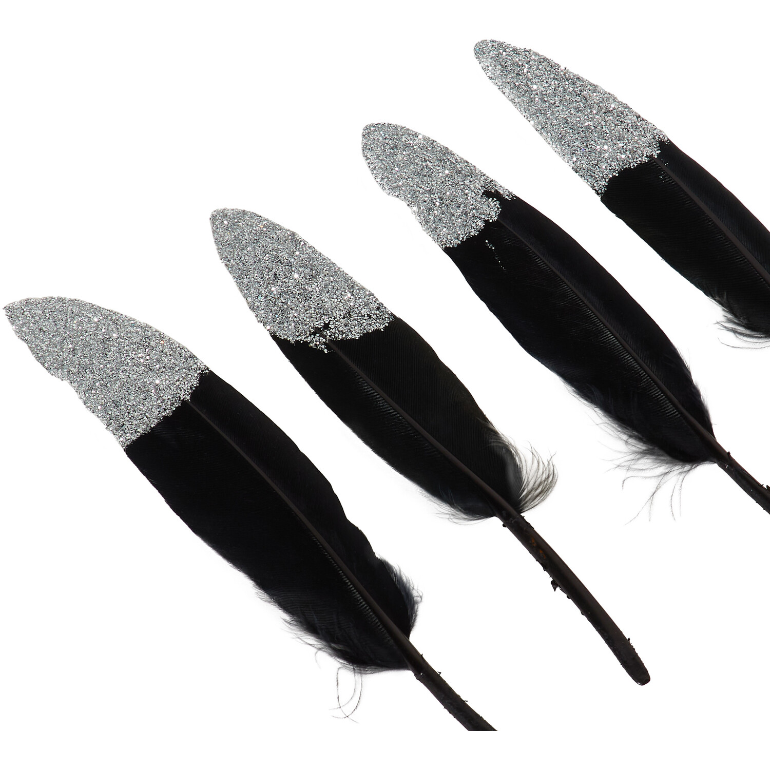 Art StudioGlitter Feathers Image 2