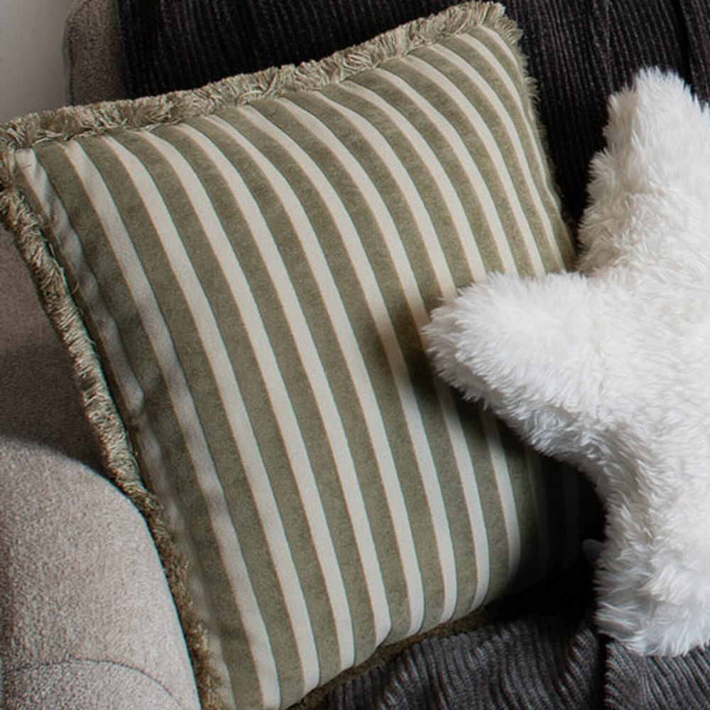 Isabella Stripe Ruffled Edge Cushion Image 7