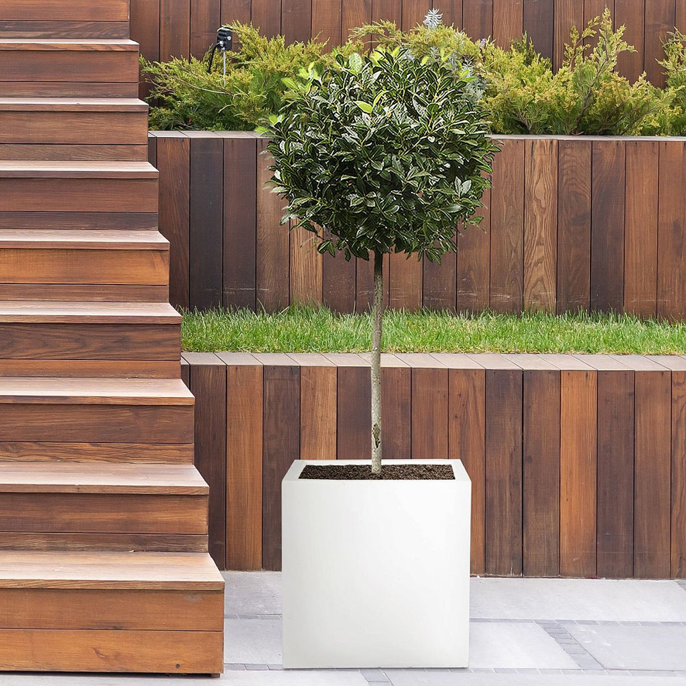 wilko Flower Box Square White Light Concrete Outdoor Planter 30cm Image 4