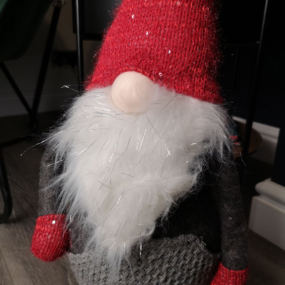 Samuel Alexander Light Up Standing Gonk Santa Christmas Decoration Image 4