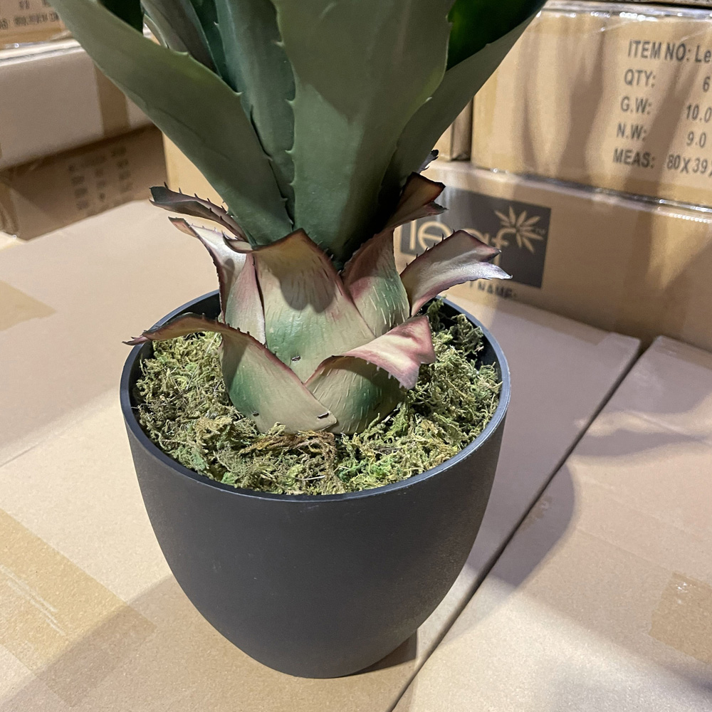 Botanik Agave Tropical Yucca Artificial Tree 70cm Image 4