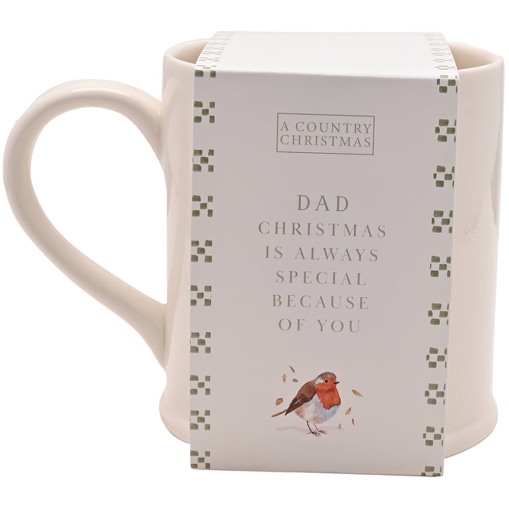 The Seasonal Gift Co. Robin Dad Mug Image 2