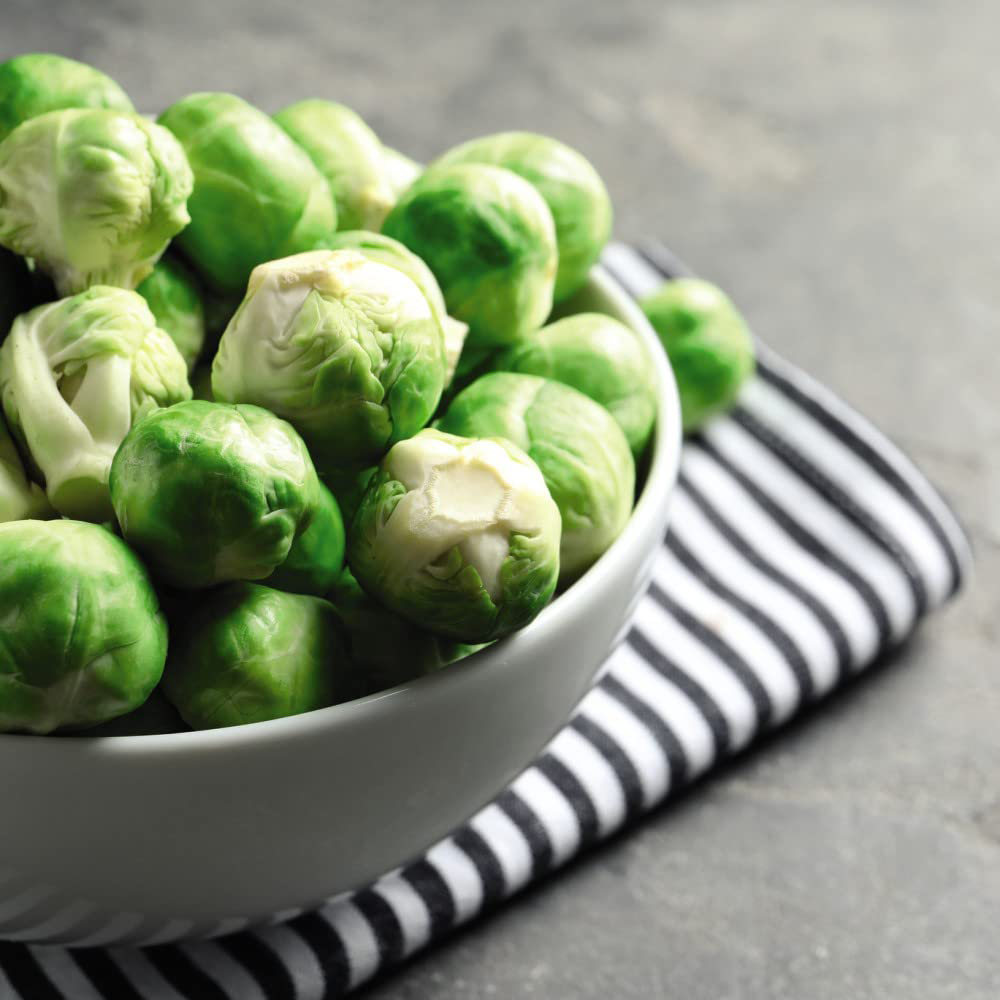 Thompson & Morgan Brussels Sprout Crispus Postiplugs 20 Pack Image 3