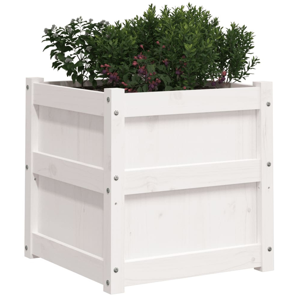 vidaXL White Solid Pine Wood Garden Planter 50cm 2 Pack Image 3