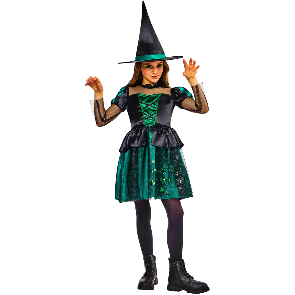 Wizard Of Oz Wicked Witch Halloween Costume 5 to 6 Years Image 6
