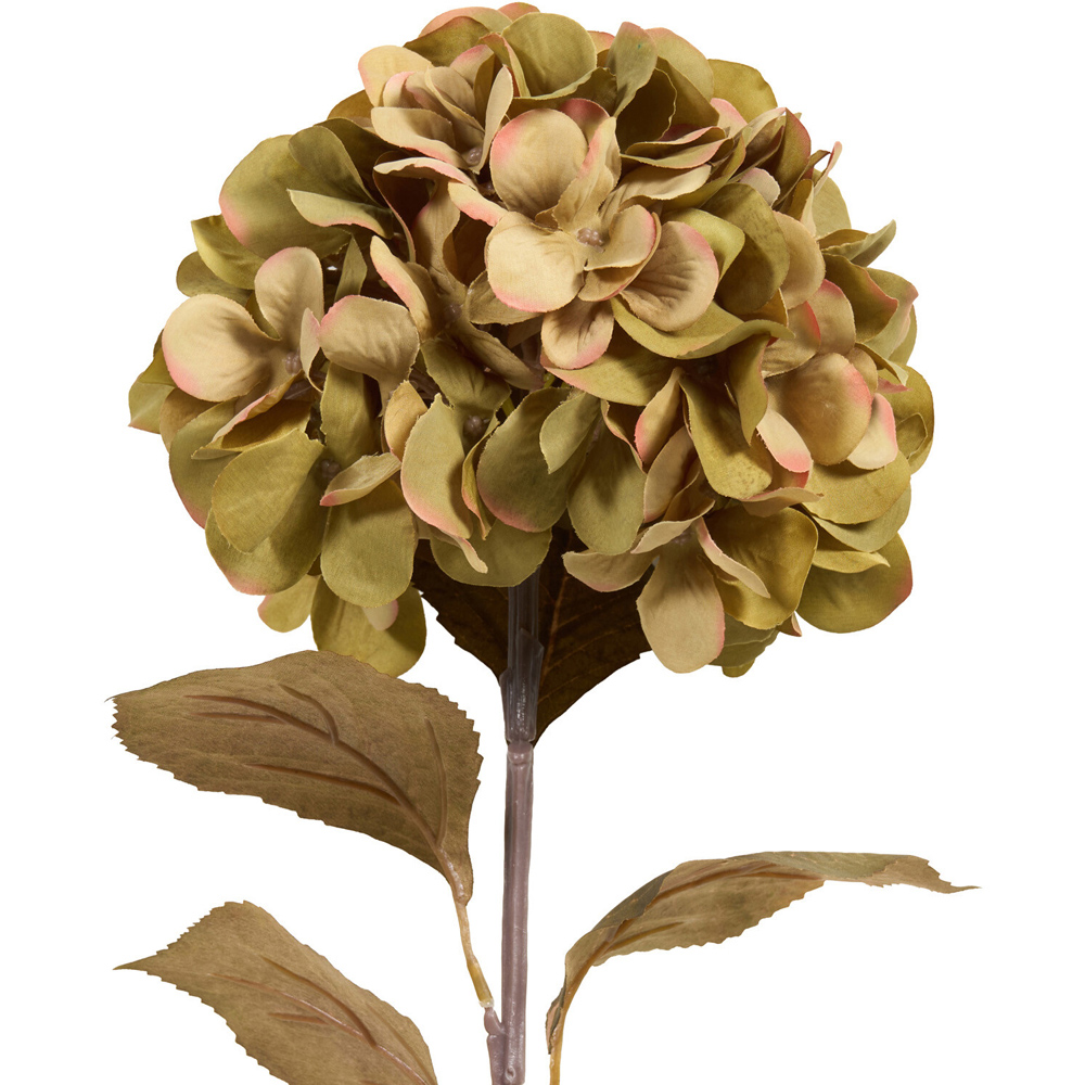 Autumn Hydrangea Stem Image 3