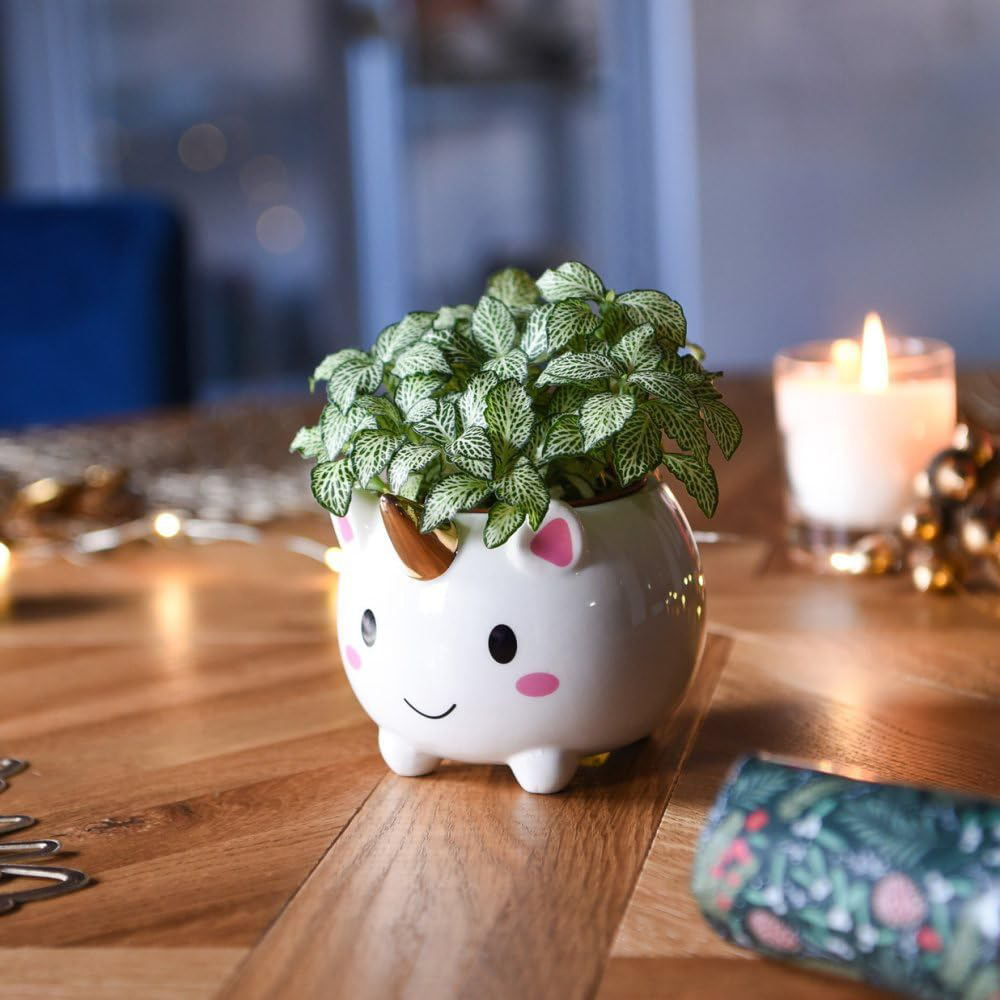 Thompson & Morgan Unicorn Pot with Gold Horn Set of 2 Image 6
