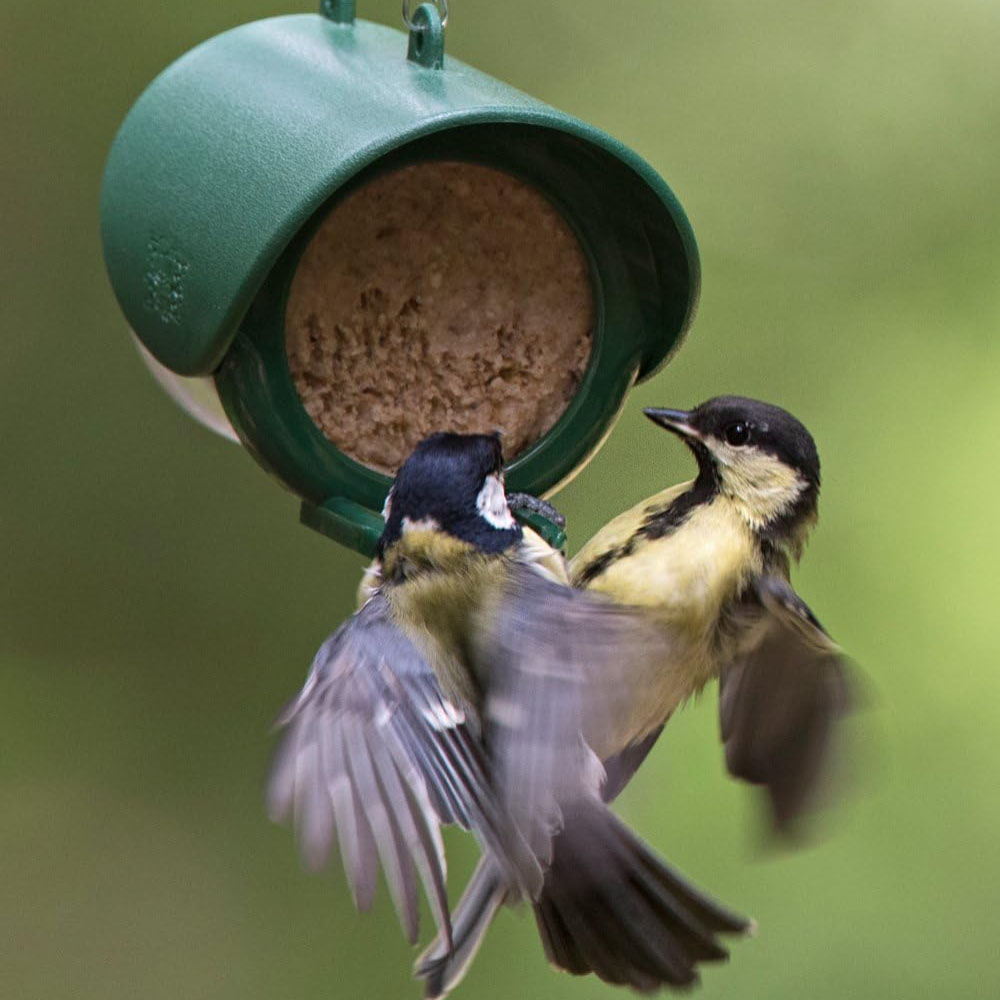 Happy Beaks Flutter Butter Hanging Bird Feeder Image 4
