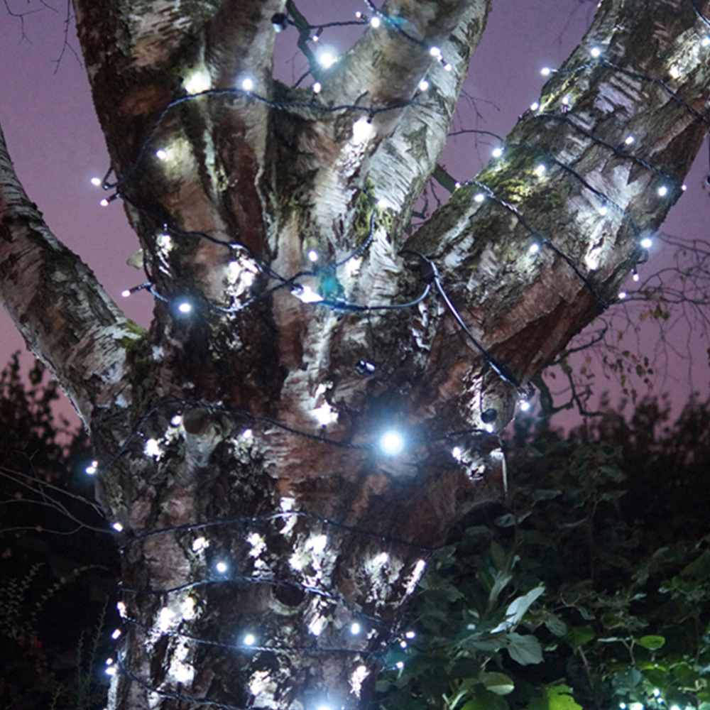 Eagle Connect 40 Cool White LED String Light 5m Image 4