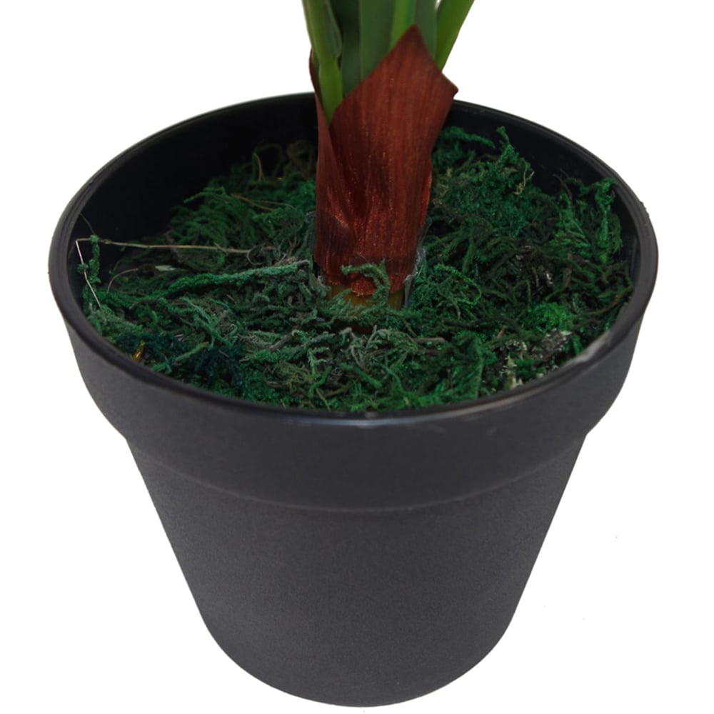 Leaf Birds Nest Fern Artificial Plant in Pot 60cm Image 3