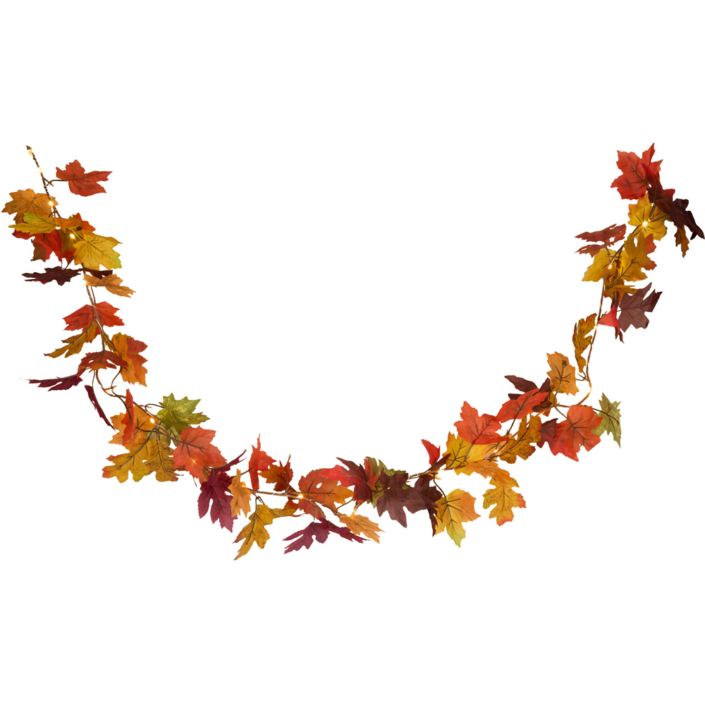 20 LED Autumnal Garland String Light Image 2