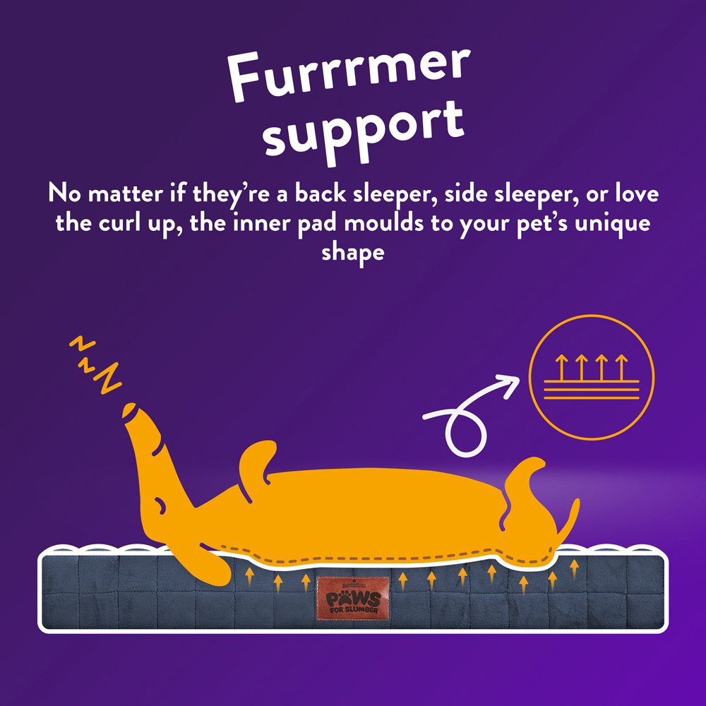 Slumberdown Small Navy Orthopaedic Pet Bed Image 8