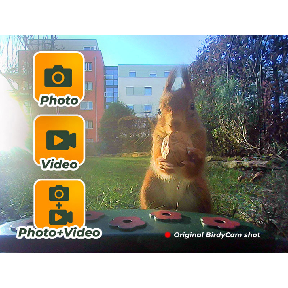 Easypix BirdyCam Bird Feeder with Camera Image 6