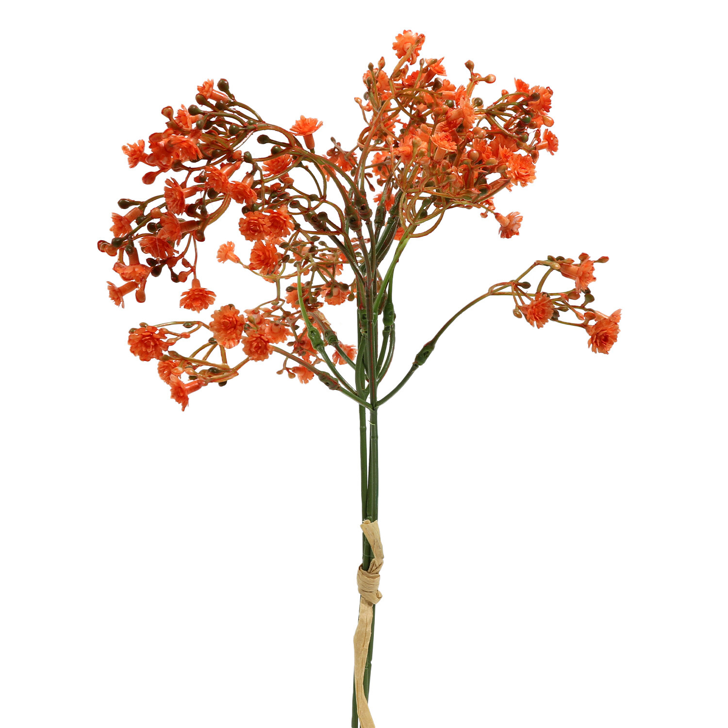 The Fall Collection Orange Gypsophila Image