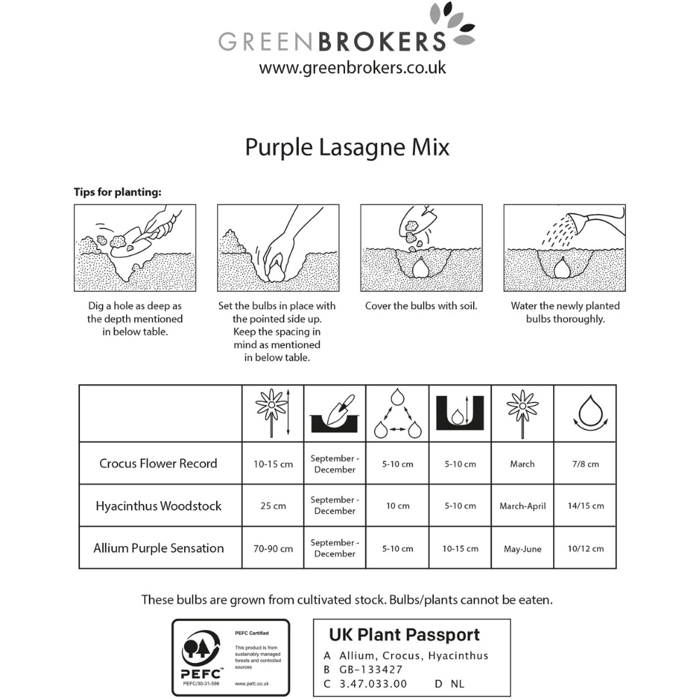 GreenBrokers Purple Lasagne Bee Friendly Mixed Planting Spring Bulb 30 Pack Image 3