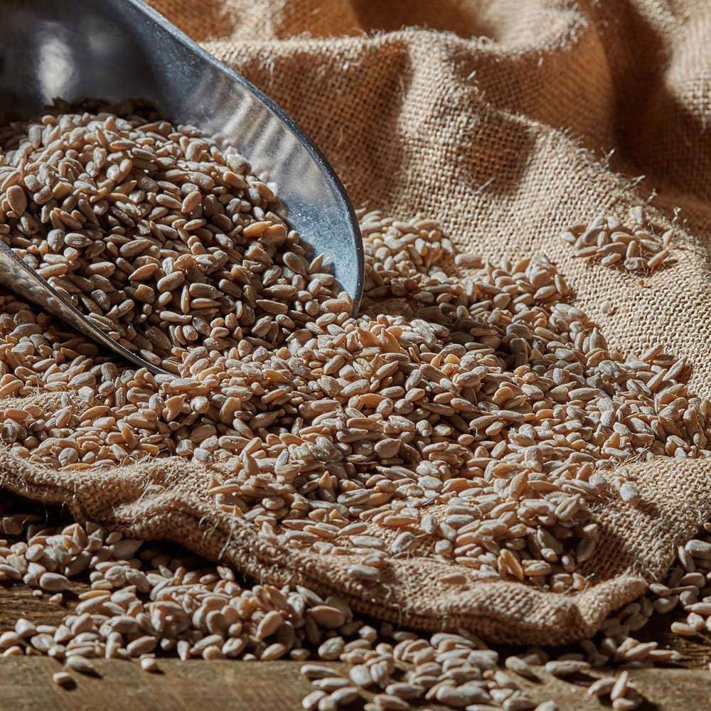 Happy Beaks Sunflower Hearts Bird Food 14kg Image 4