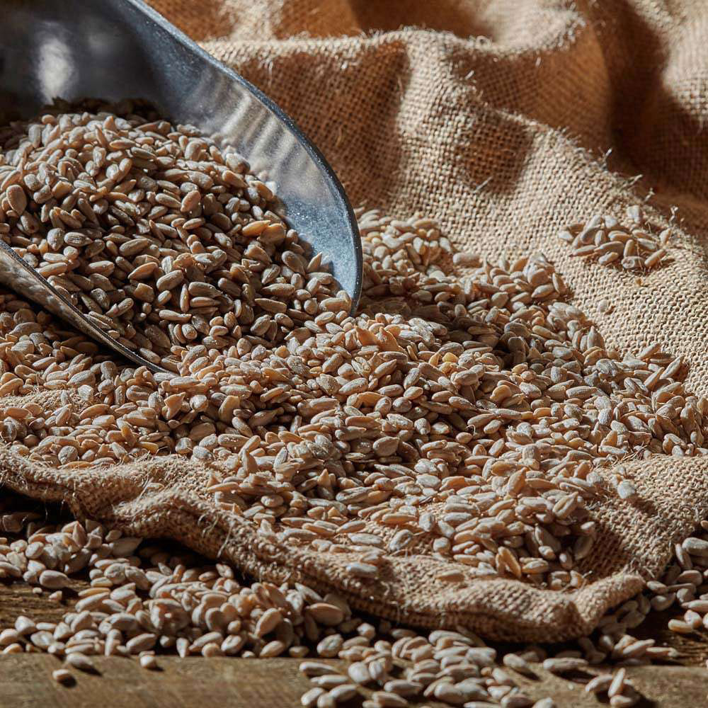 Happy Beaks Sunflower Hearts Bird Food 28kg Image 4