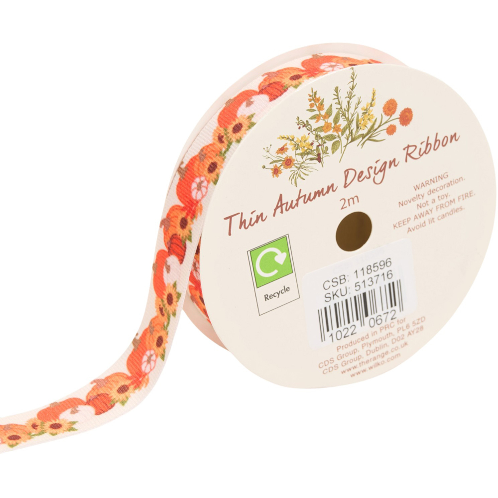 Thin Autumn Design Decorating Ribbon Image 4