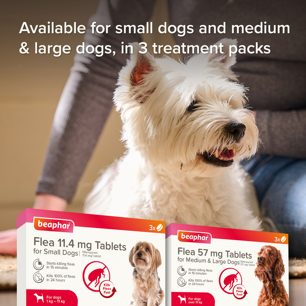 Beaphar Flea Tab for Small Dogs Image 5