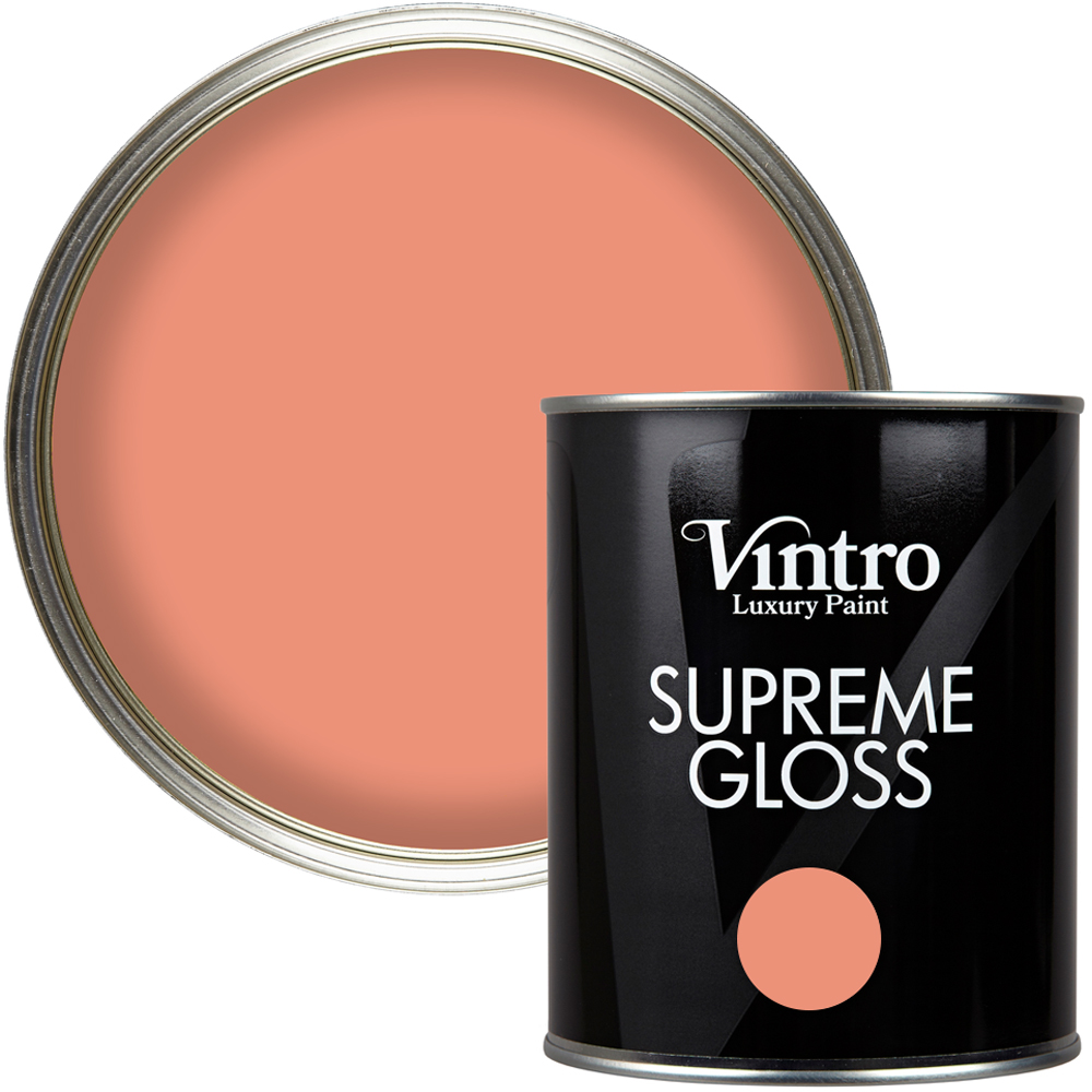 Vintro Paint Walls and Ceilings Porto Terracotta Gloss Paint 1L Image 1