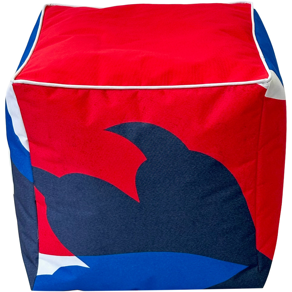 Kaikoo England FA Football Red Top Printed Sides Cube Image 5
