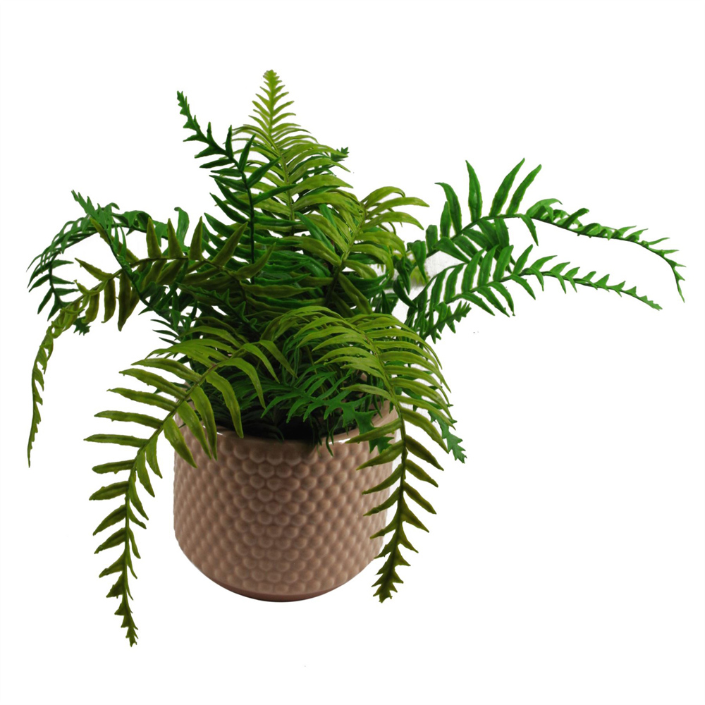 Leaf Dusty Peach Raised Dots Ceramic Plant Pot 15 x 15 x 12.5cm Image 5