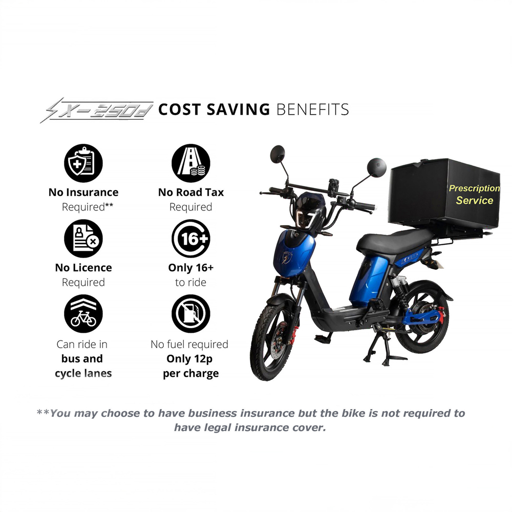 Eskuta SX-250 Cargo Matte Blue Electric Bike 48V Image 3