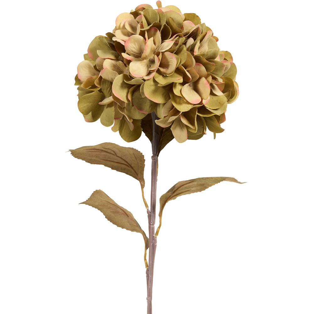 Autumn Hydrangea Stem Image 2