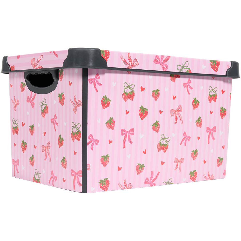 Berry Sweet Printed Storage Box Pink Image 2