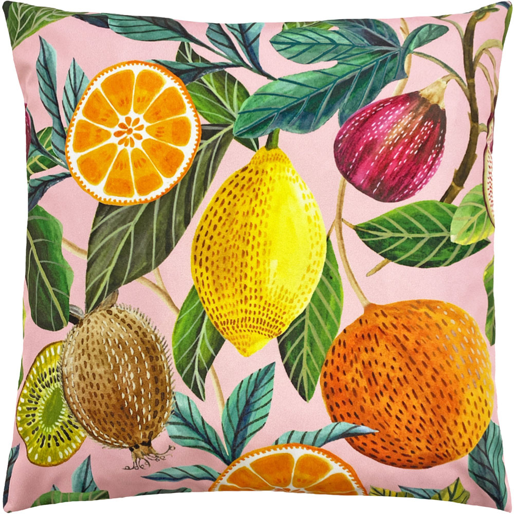 Evans Lichfield Citrus Multicolour Polyester Filled Outdoor Cushion Image 1