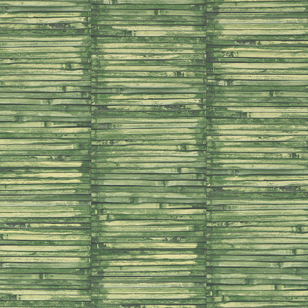 Galerie Global Fusion Bamboo Green Wallpaper Image 1
