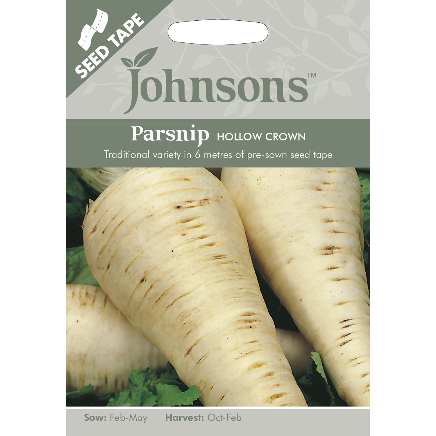 Pack of Hollow Crown Parsnip Seed Tape Image 1