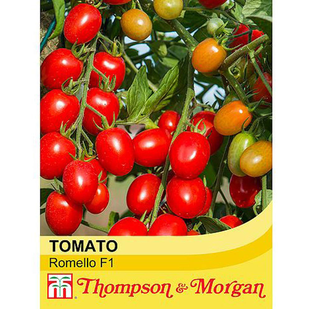 Thompson and Morgan Tomato Romello F1 Seeds Image 2