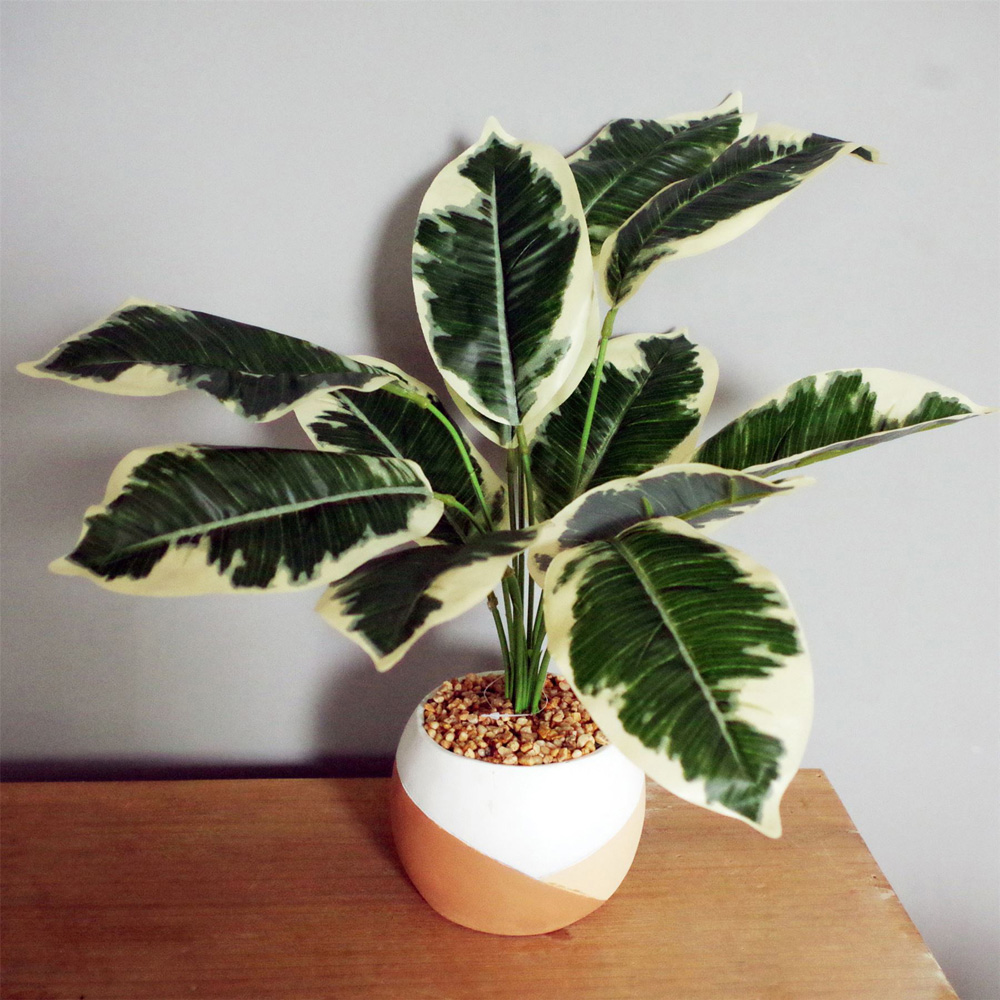 Botanik Variegated Pothos Artificial Plant in Pot 40cm Image 2