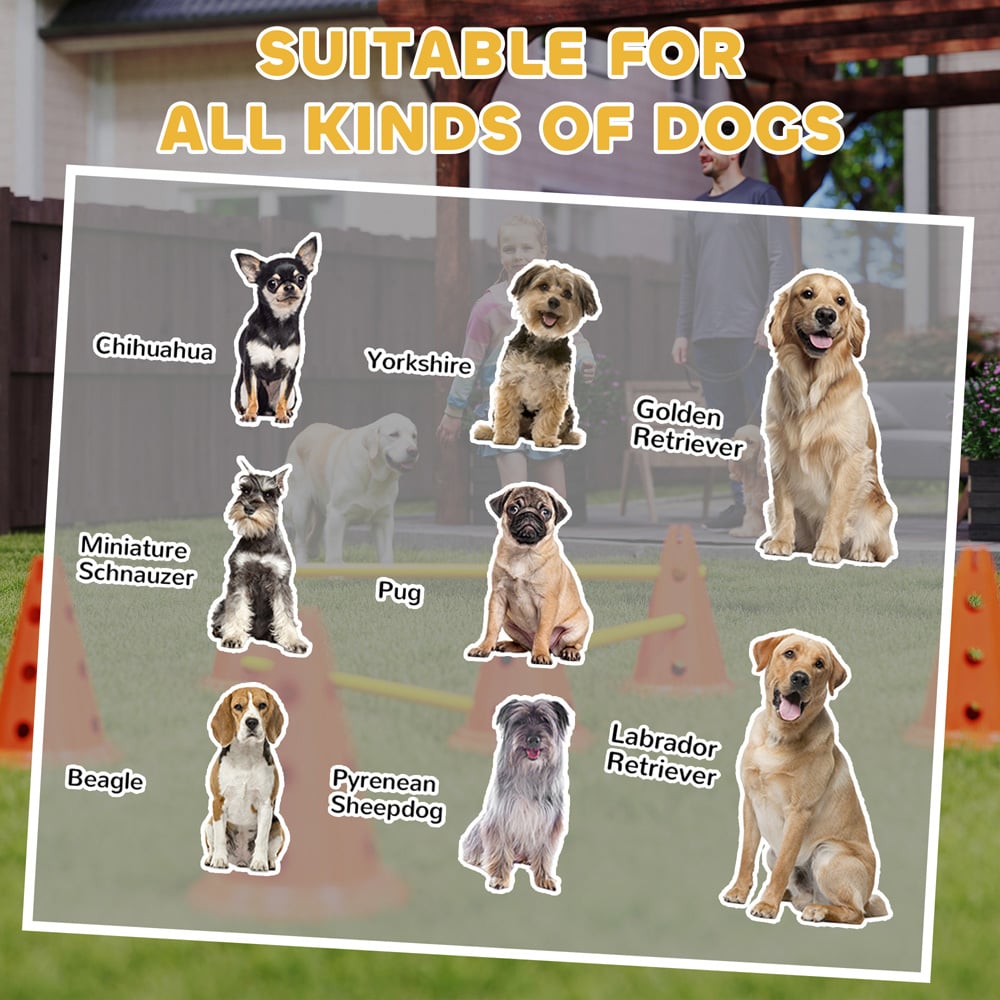 PawHut Orange Dog Agility Equipment Set Image 4