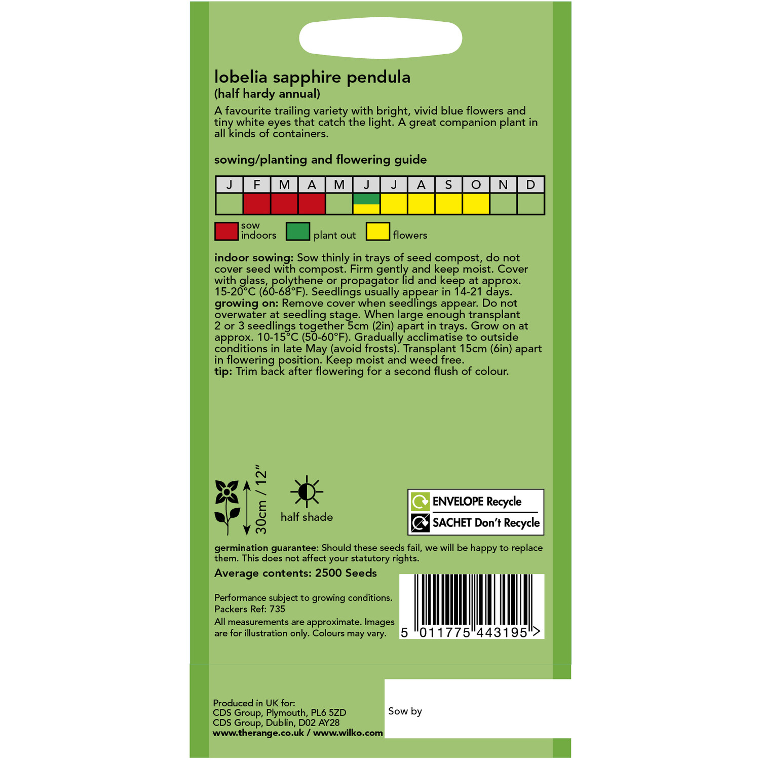 Wilko Lobelia Sapphire Pendula Seeds Image 2