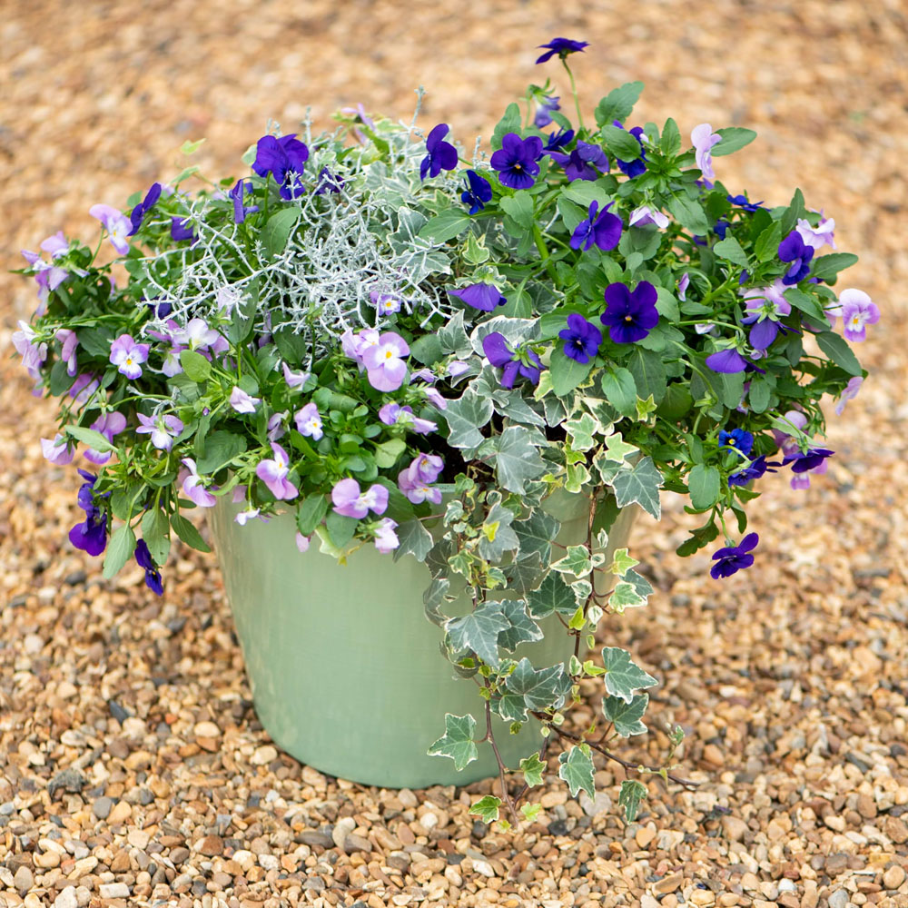 Thompson and Morgan Lindos Sage Green Glazed Effect Planter 25.5cm Image 2