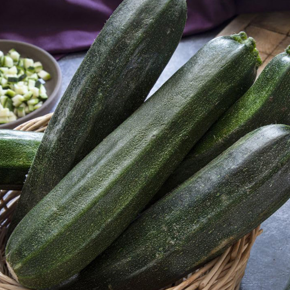 Thompson and Morgan Courgette All Green Bush Seeds Image 1