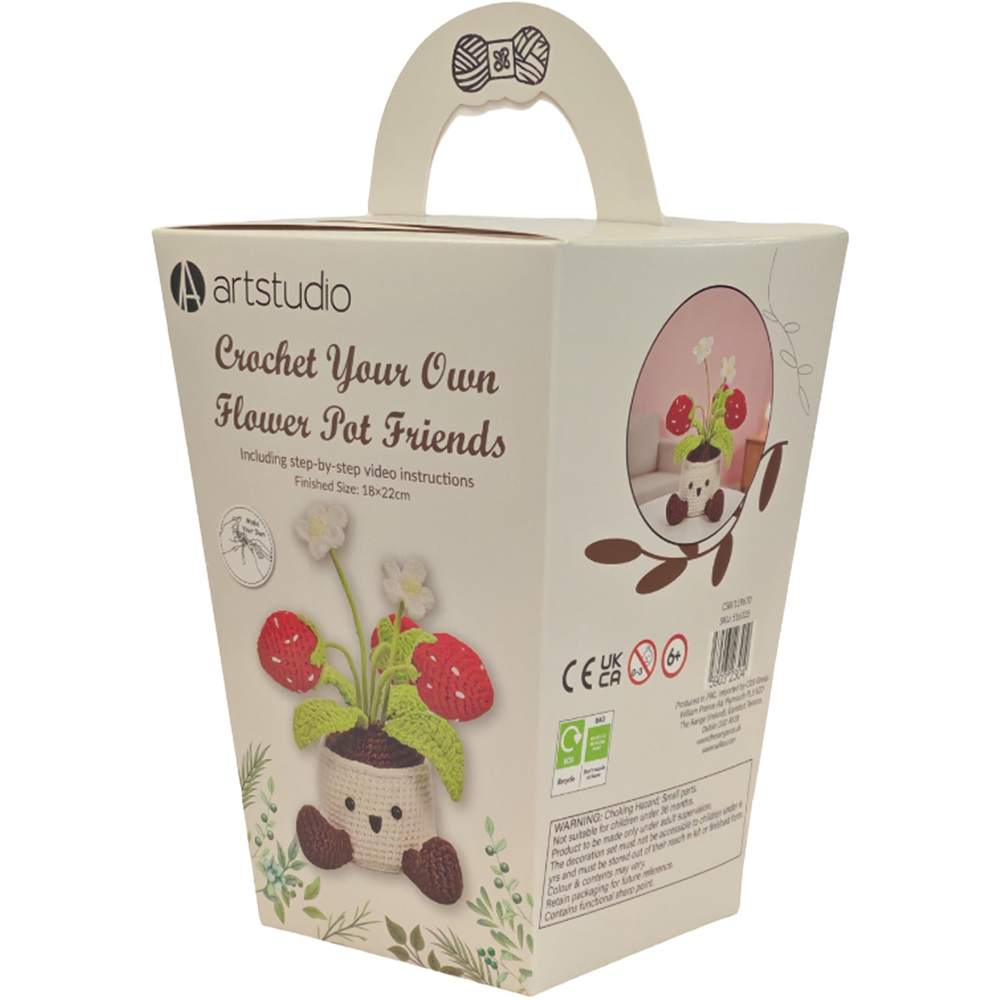 Crochet Your Own Flower Pot Friends Kit Image 7