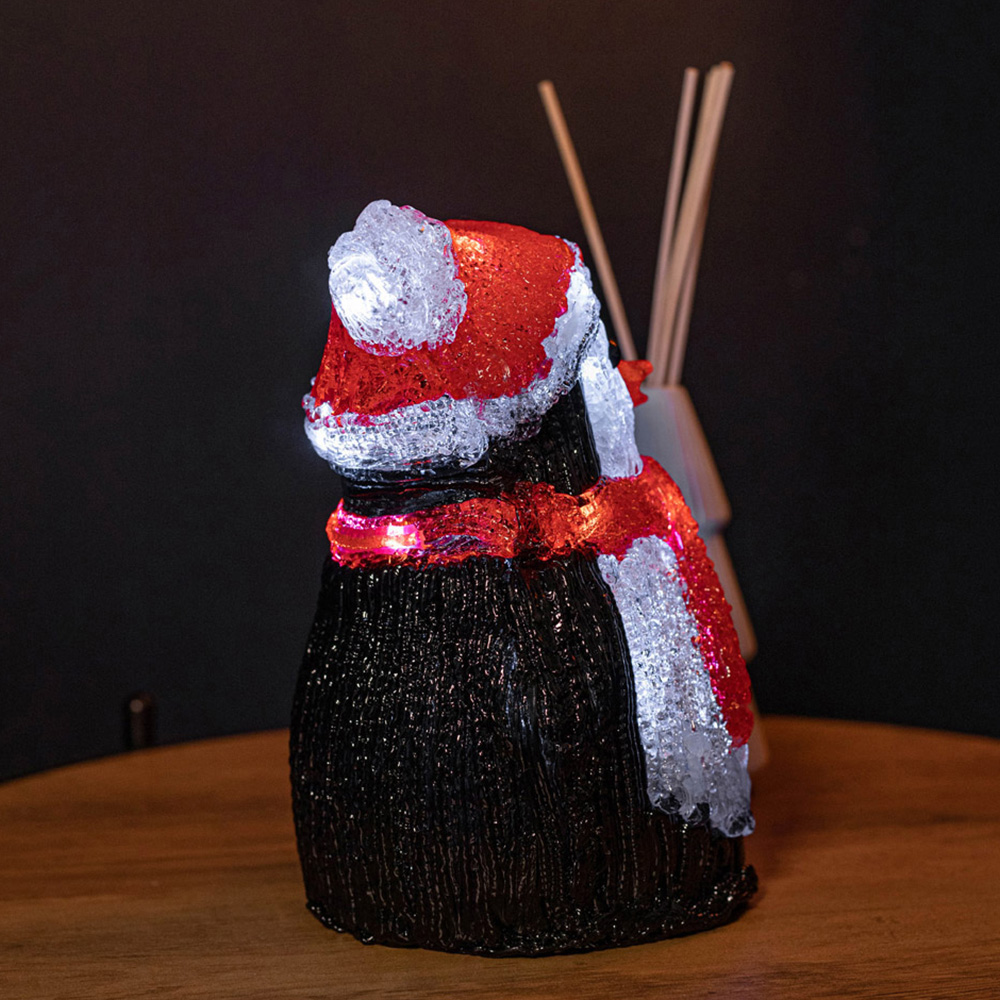Samuel Alexander Acrylic Penguin LED Christmas Decoration 20cm Image 4